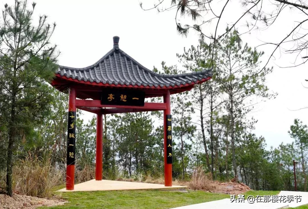 马祖岩人文公园大概多少公里,马祖岩人文公园夜光路