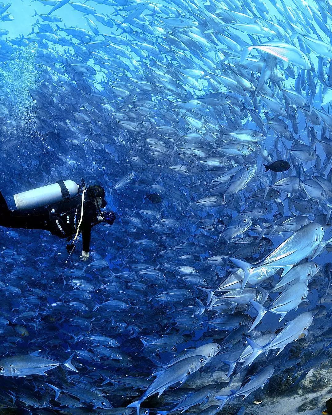 吃19块钱的海鲜自助,深圳133块钱海鲜吃到爽