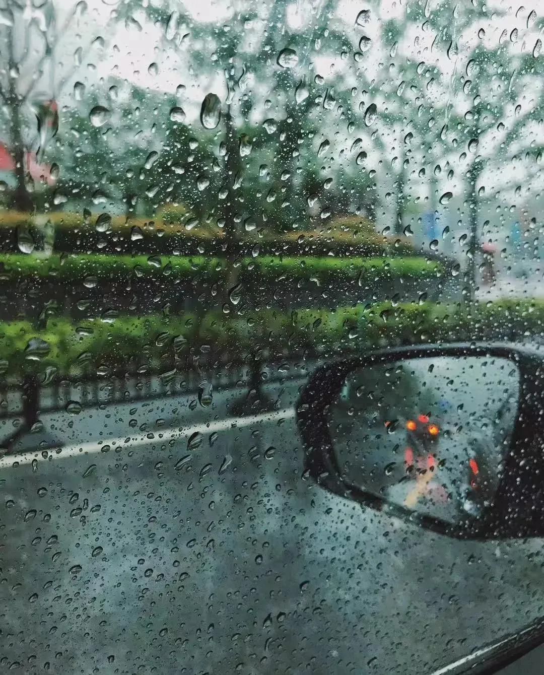 每周摄影作品全集,摄影作品展活动4k视频