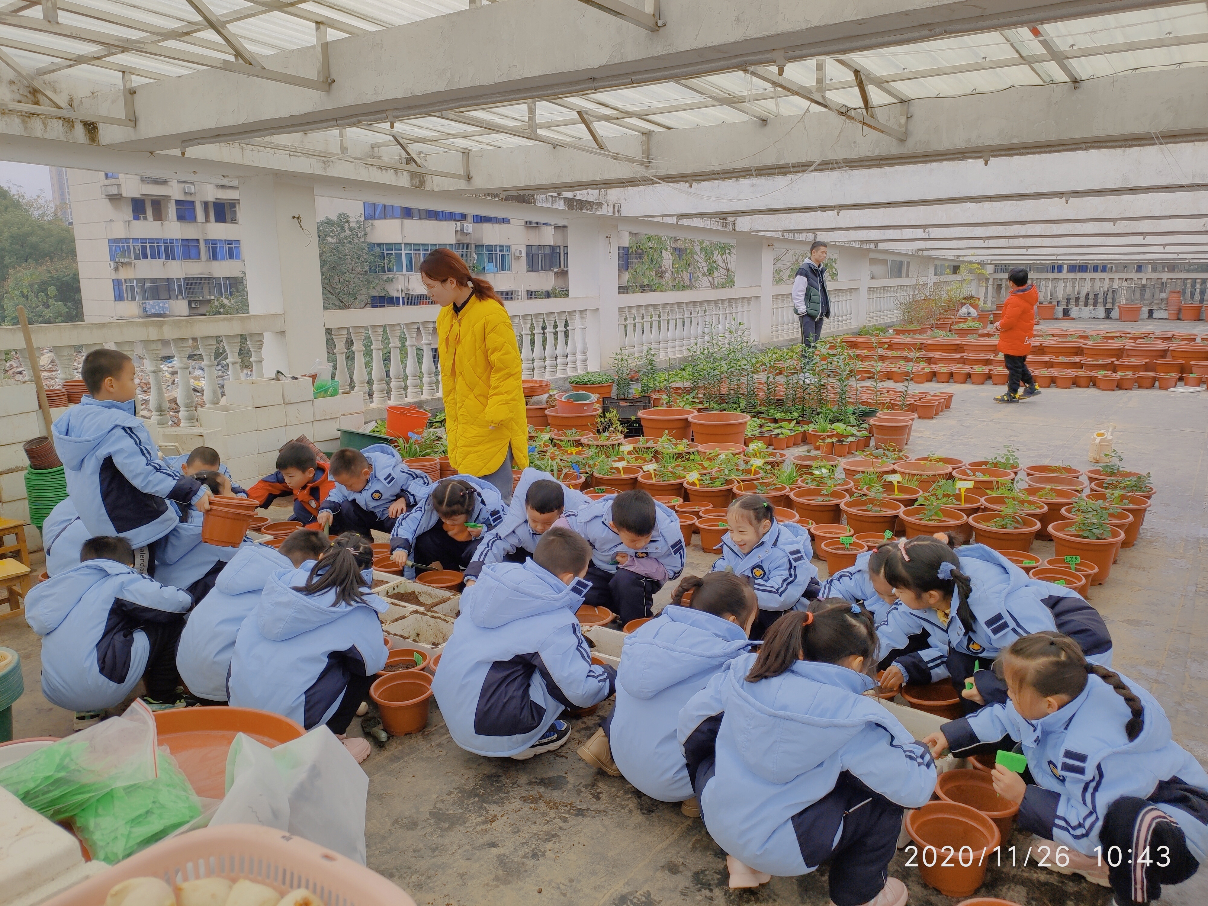 岳阳市金鹗小学风采展示,岳阳市金鹗小学99届