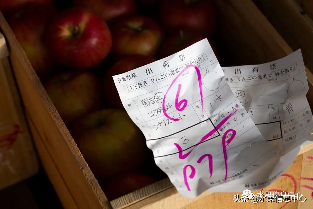日本苹果种植现状,为什么日本苹果质量比中国的好