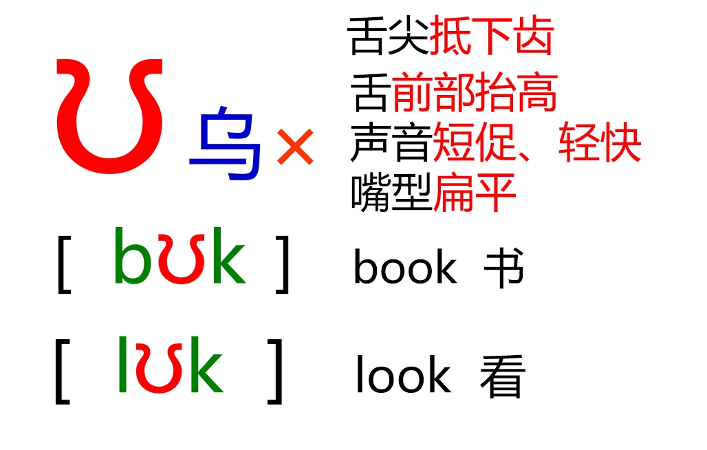 48个音标全套卡片作用,英语音标卡片48个正确发音嘴型