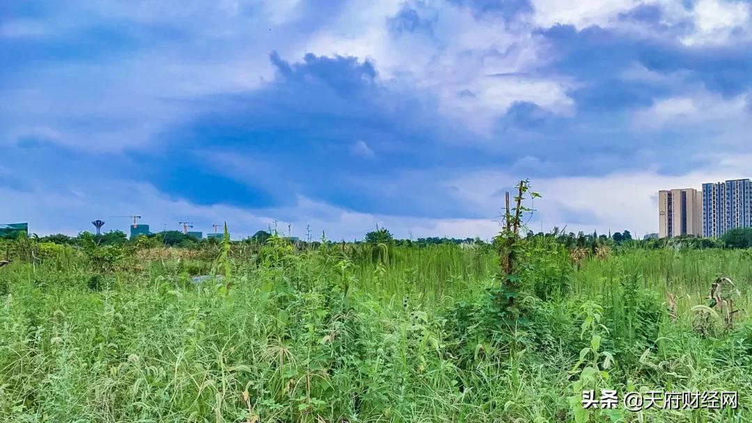 繁华VS荒凉,成都光华大道“真空地带”下的城市奇观