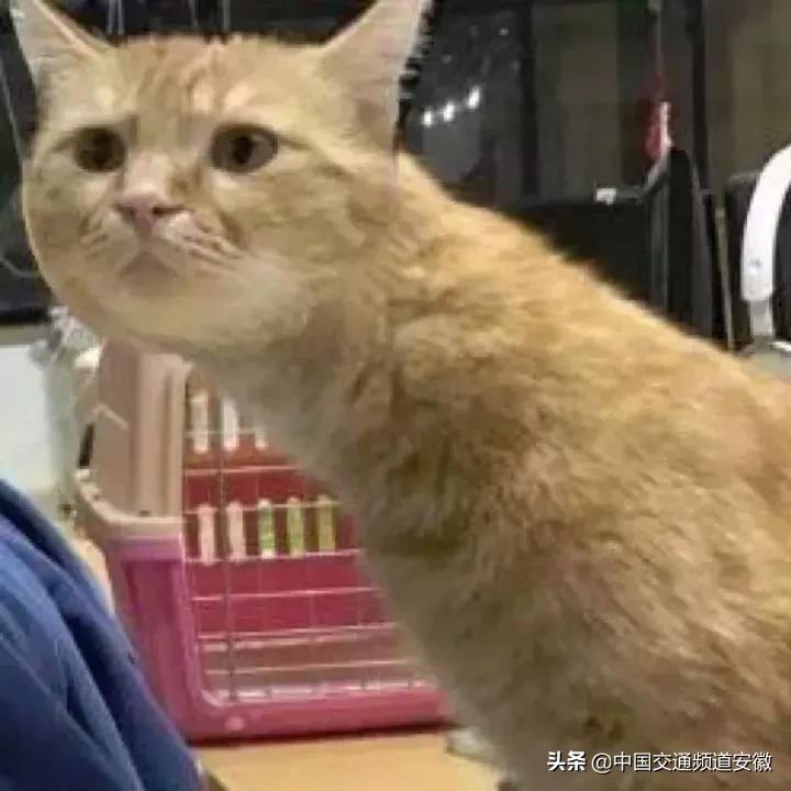 安医大二附院最新消息今天,安医大二附院住院部最新消息