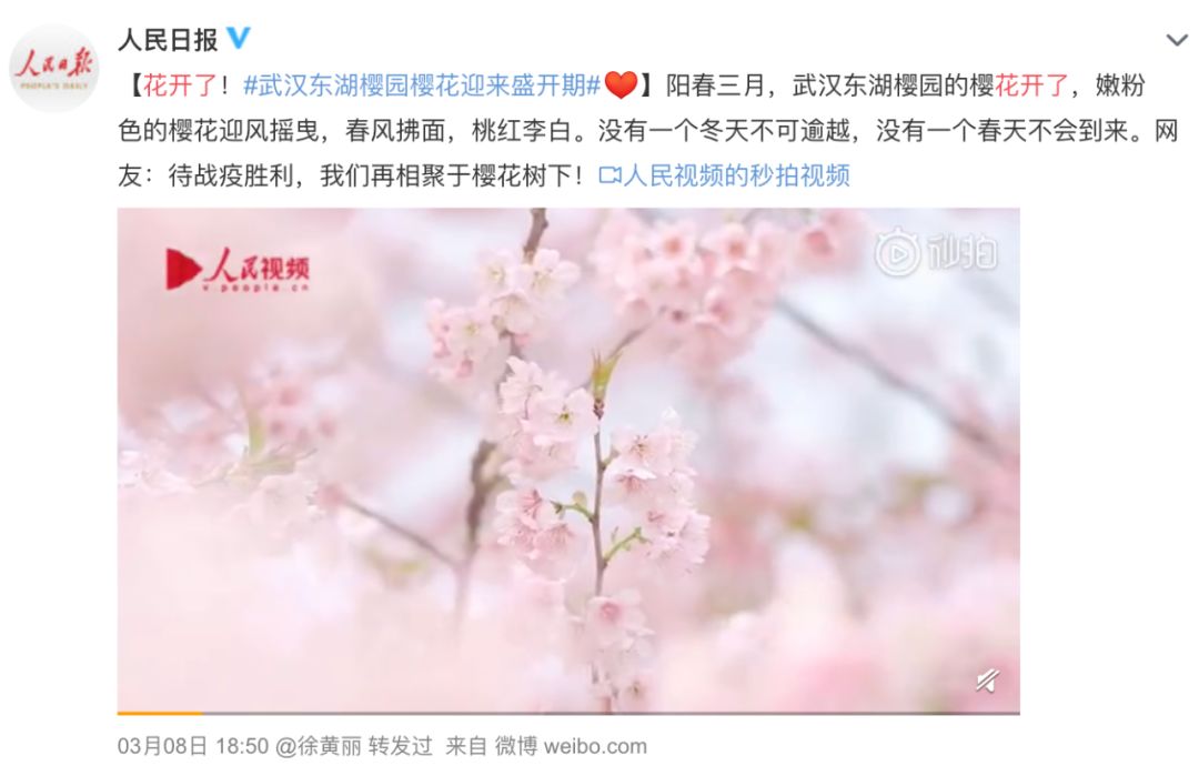 疫情防控取得阶段性胜利有序恢复,疫情胜利在望