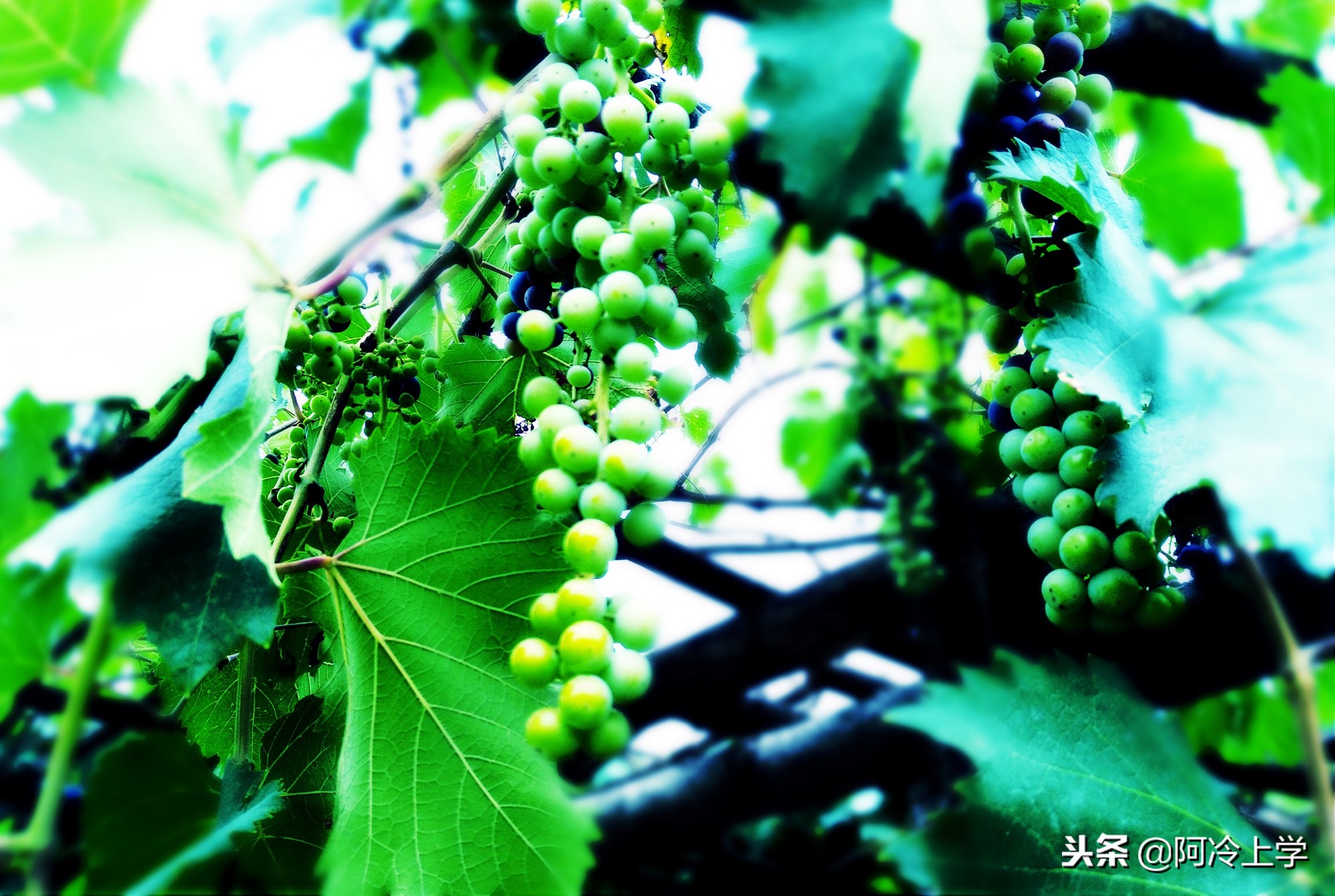 怎么写童话才能写好,怎么写童话故事有意义的