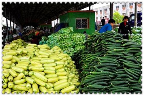 蔬菜配送前景怎么样,如何做好蔬菜配送行业