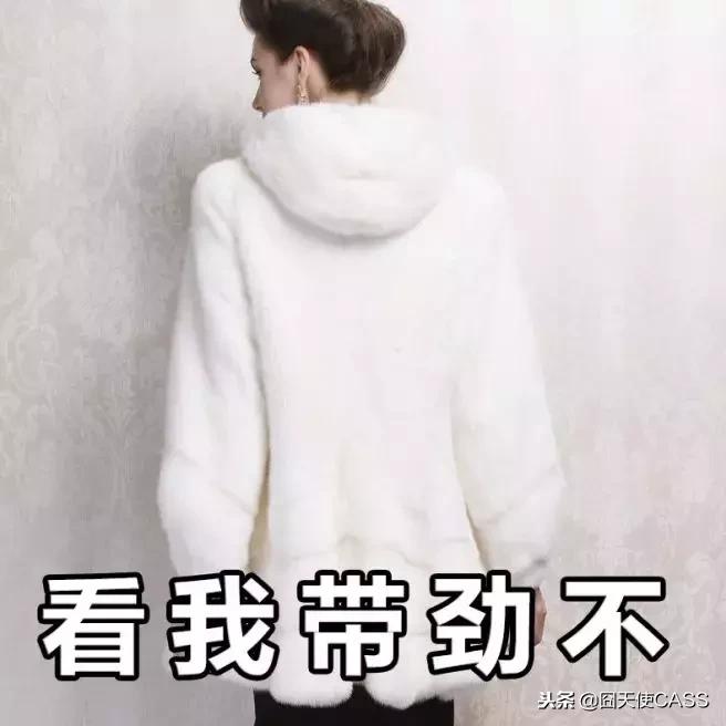 东北都有貂吗,在东北没有雪地靴不行吗