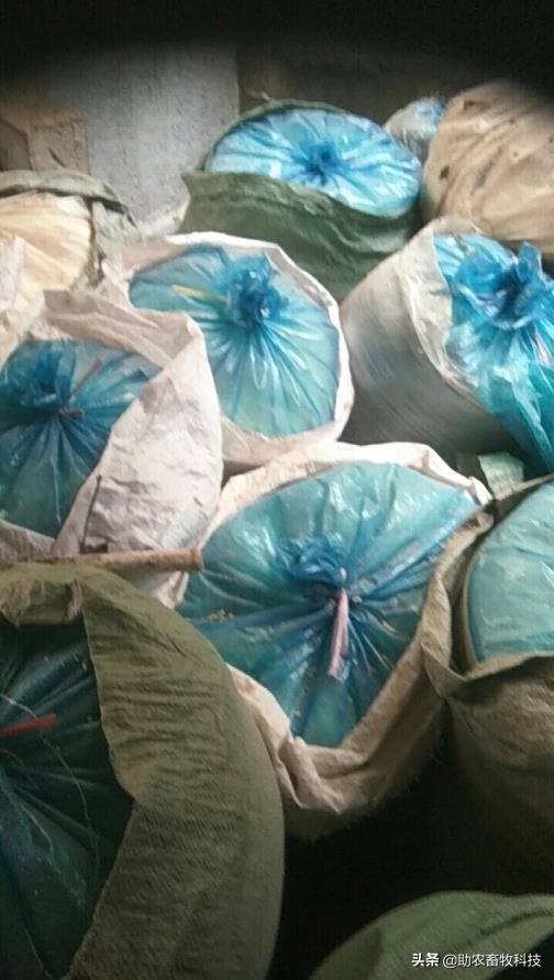 猪场防非措施很到位,猪场怎么防止病毒