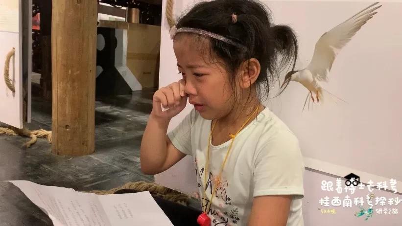 活了两千多年的“巨无霸”就在广西！昨天，他们相遇了