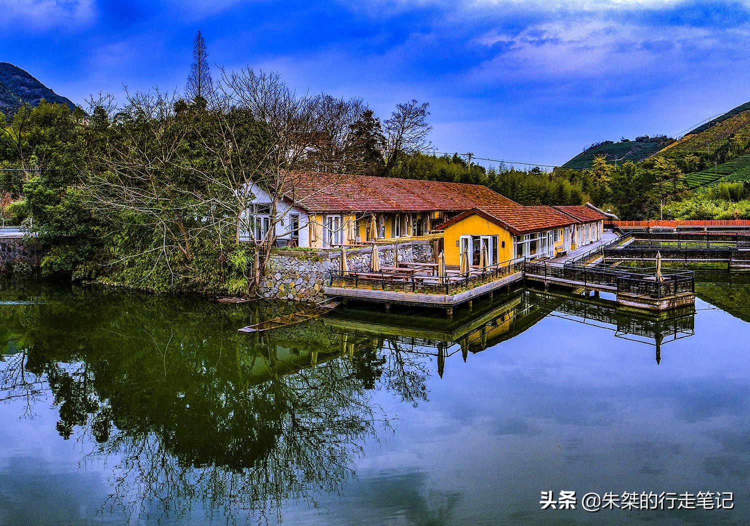 春日莫干山,莫干山春日茶会图片