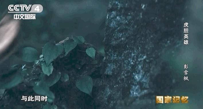 英雄虎胆大结局完整版,虎胆英雄大结局是什么