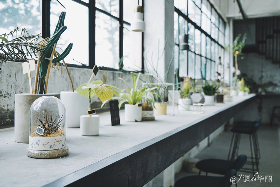 厦门没去过的地方,厦门没去过的景点