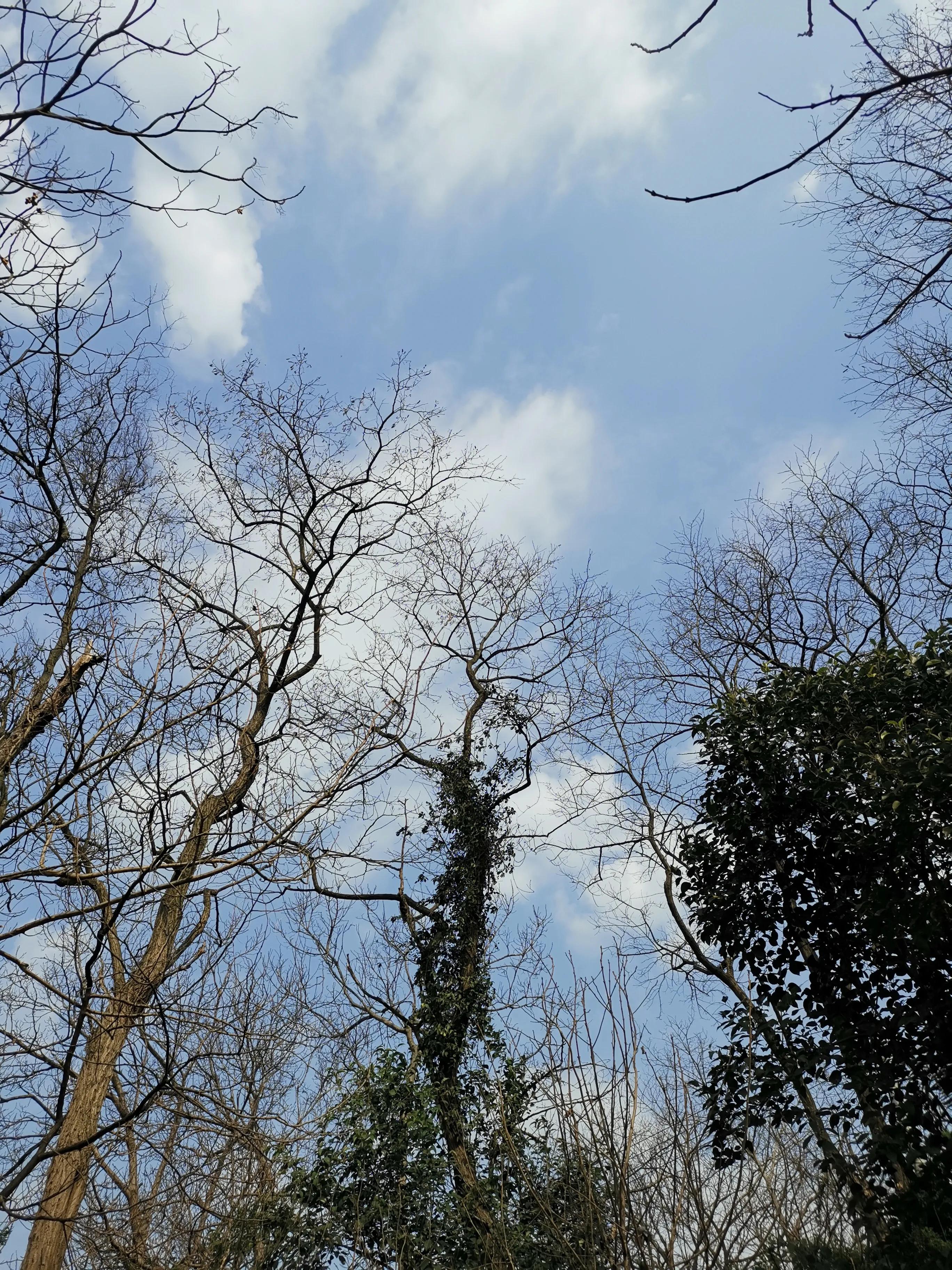 家乡诡异传说,家乡神话故事