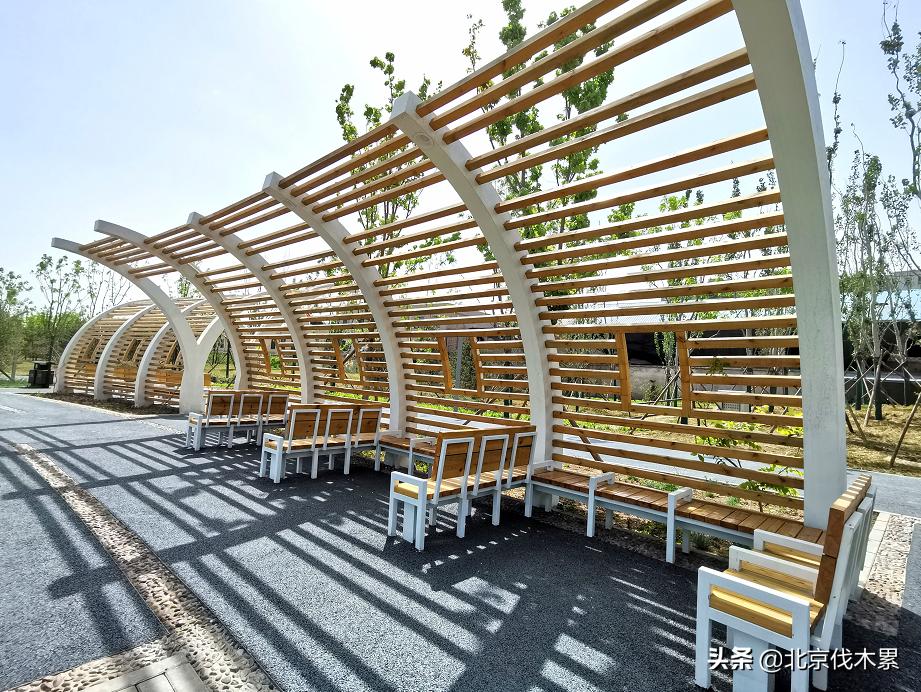 市区又多一个遛娃圣地,不花钱的遛娃胜地