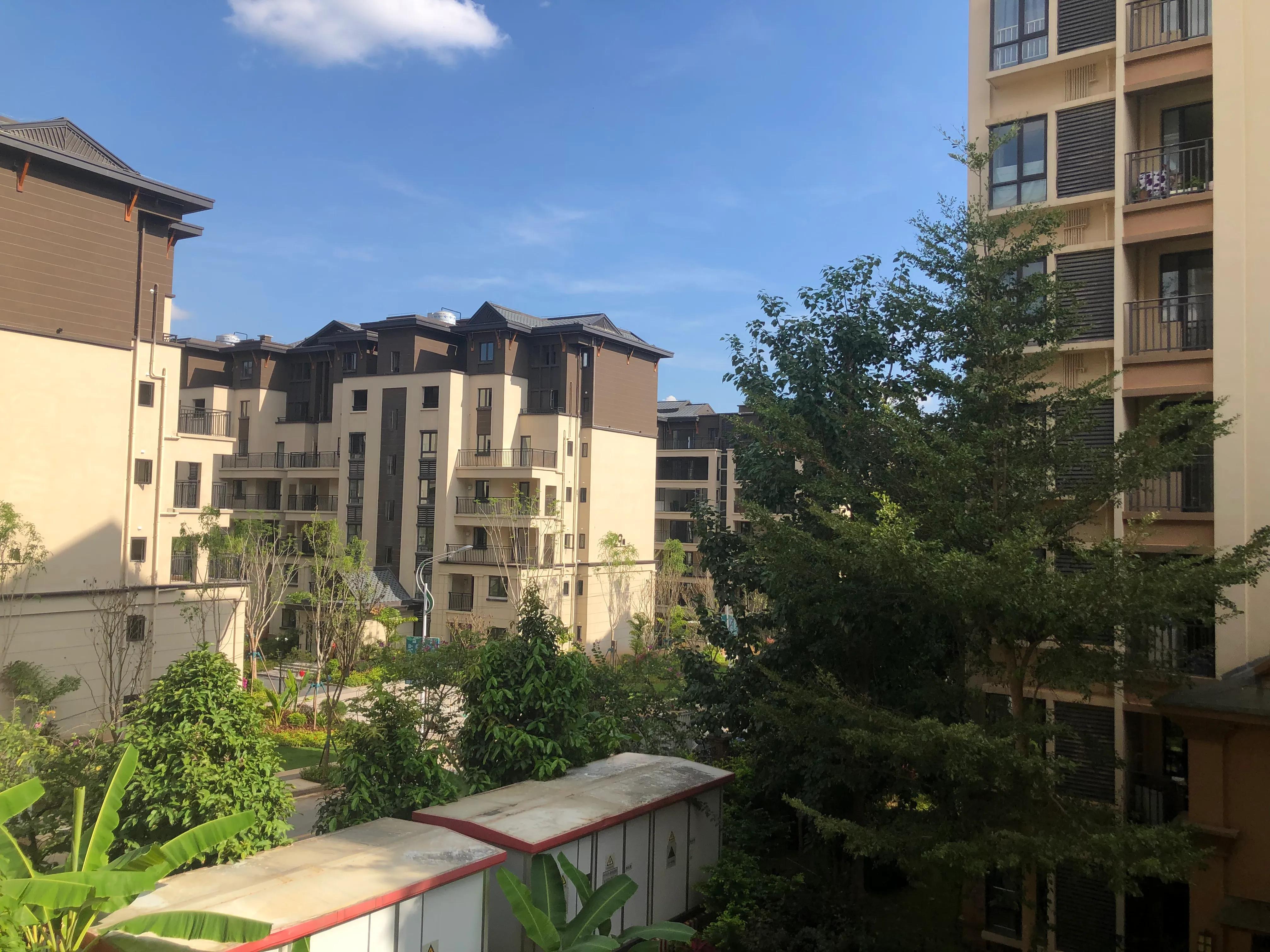 西双版纳租房应注意什么 (去西双版纳租房需要带什么)