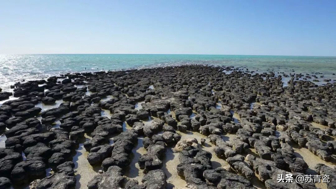 只知道大堡礁？澳大利亚还有这个冷门景点，美得不像地球