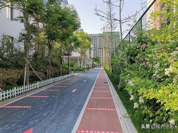 《名校风采》郑州市五十四中学：弦歌不辍五十载，上下求索奏华章