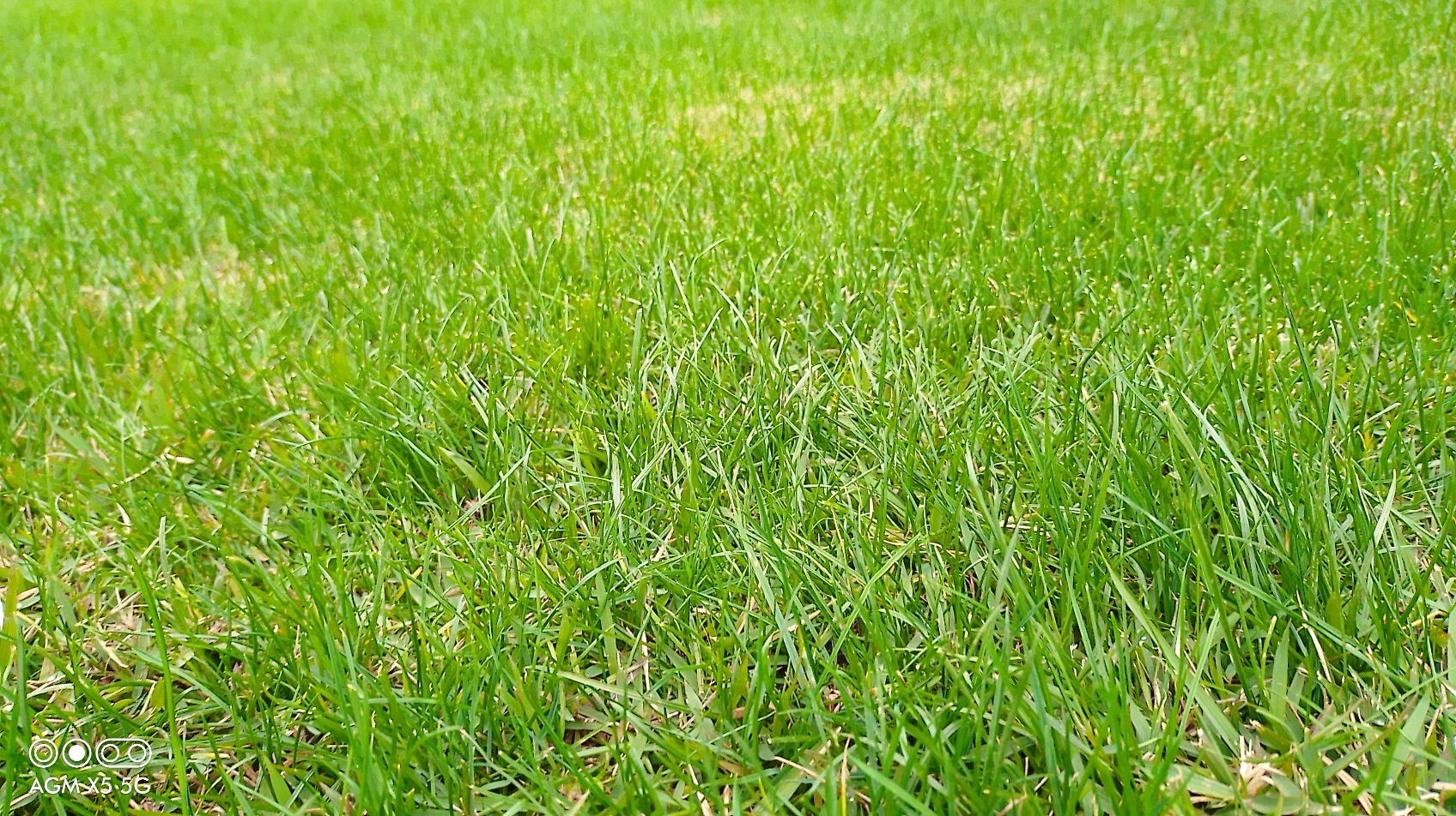 agm三防手机x5,户外手机agmx5