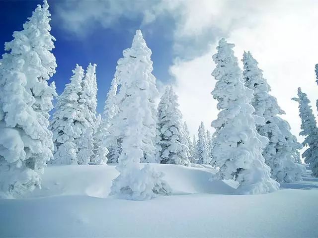 冬日必去赏雪胜地,冬日游必去的地方
