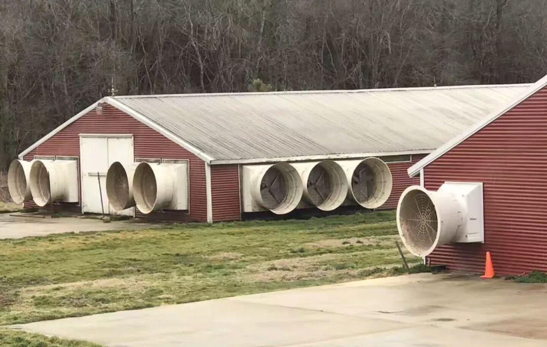 猪场都需要建什么,猪场不做封闭式管理