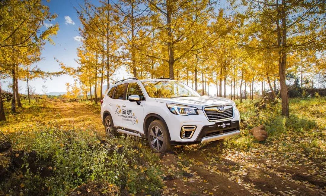 斯巴鲁森林人全时四驱不好使,全时四驱斯巴鲁森林人10款多重