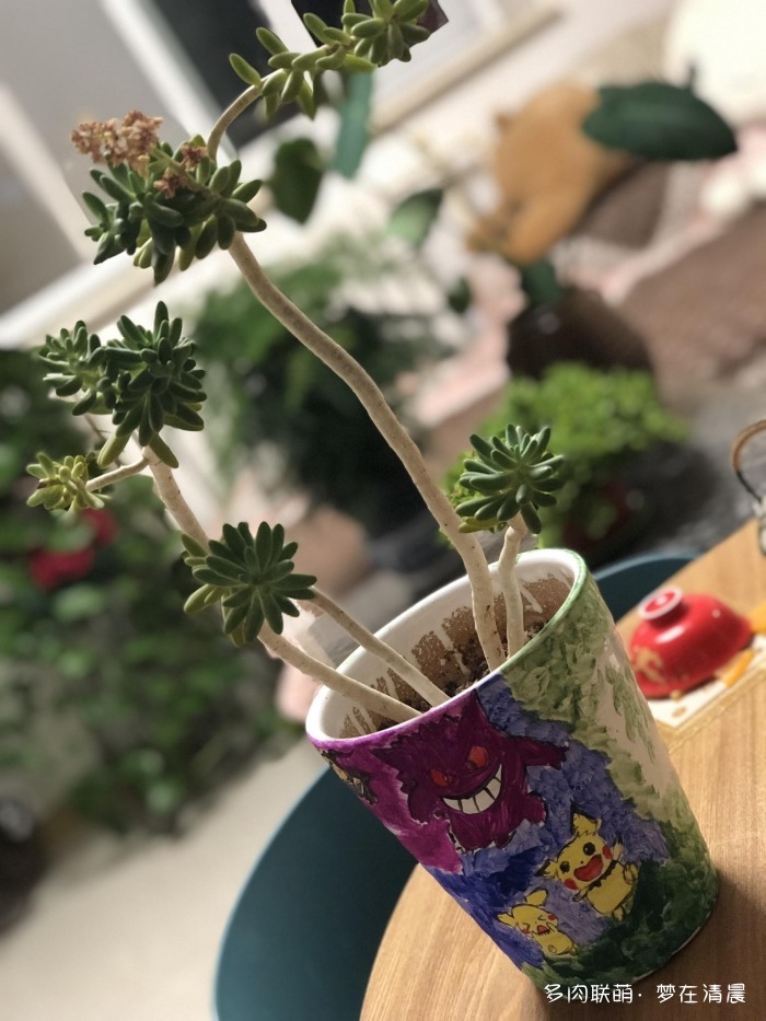 澶忚姳鏈夊摢浜涜姳,澶氳倝鏈夎姳鏈夋灉