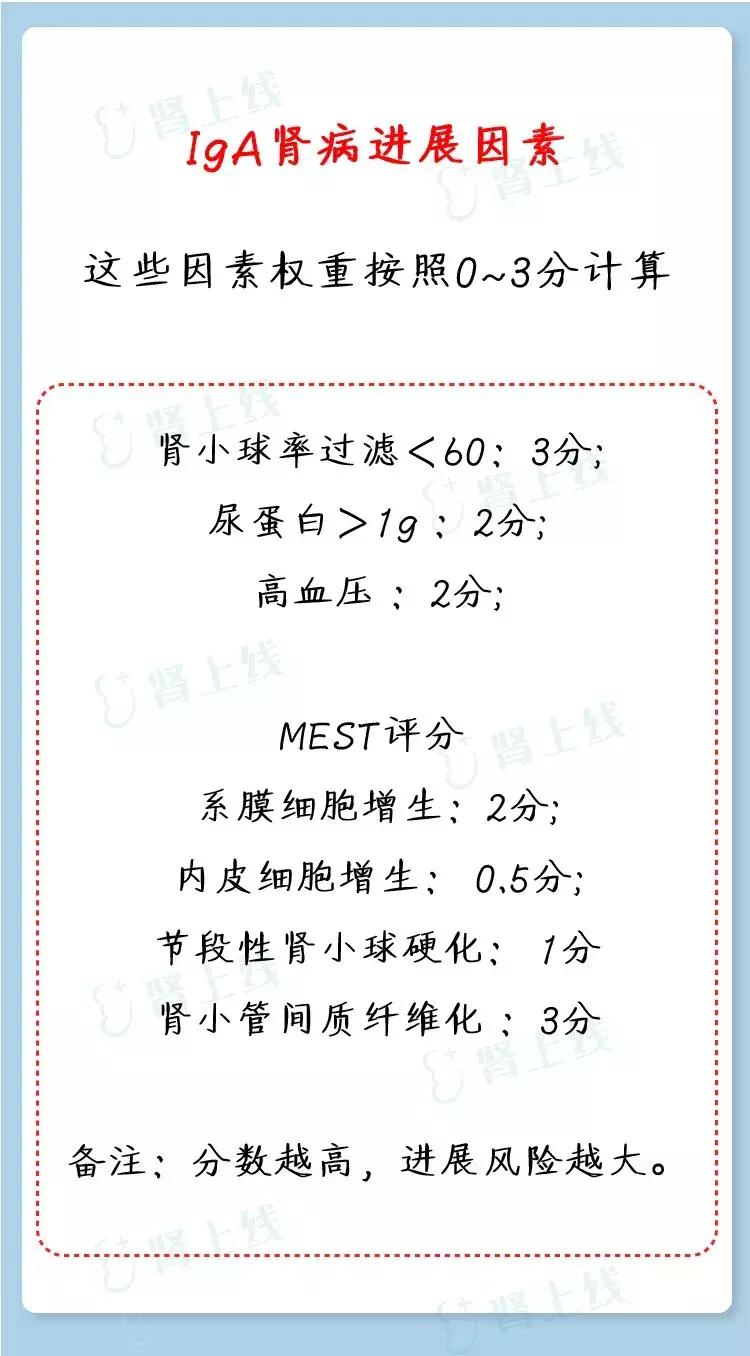 IgA肾病怎么得的？怎么治？你关心的都在这里