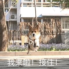 参与定增盈利的概率,定增是什么意思可以入手吗