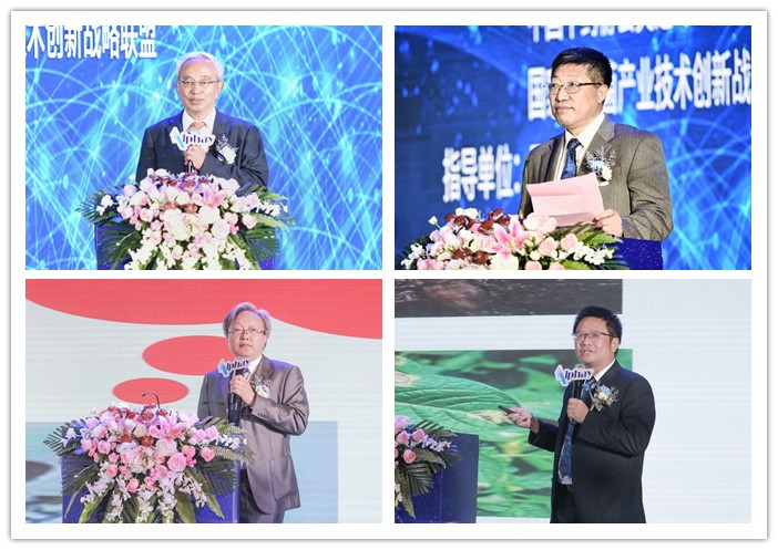 鍚柊绋嬪垱鏈潵,鍚柊绋嬩紶鎹锋姤