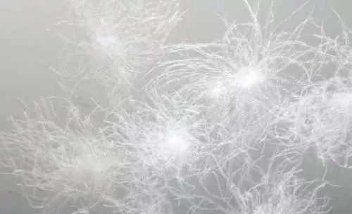 用了这条鹅绒被，感觉以前都白睡