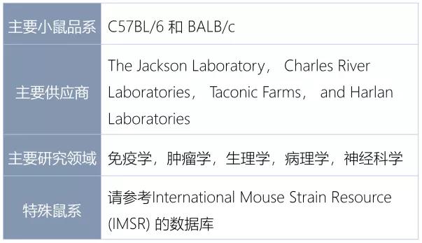 老鼠实验看人类命运,预测人类命运的老鼠实验