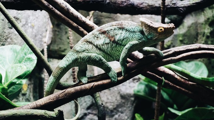 狮城新加坡自由行,新加坡7日游攻略