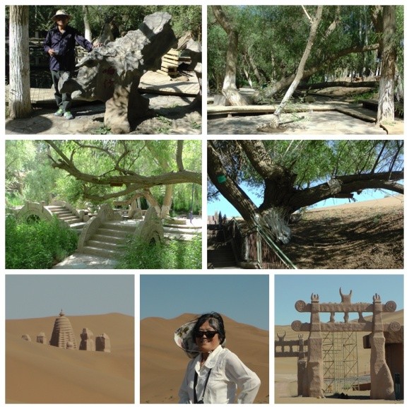 2013年E-1*疆新**东南西北中班车自助游-东