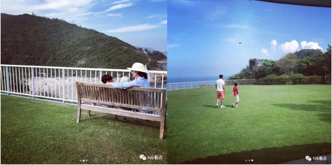 喜宝被老头打后续,喜宝喜欢石澳岛吗