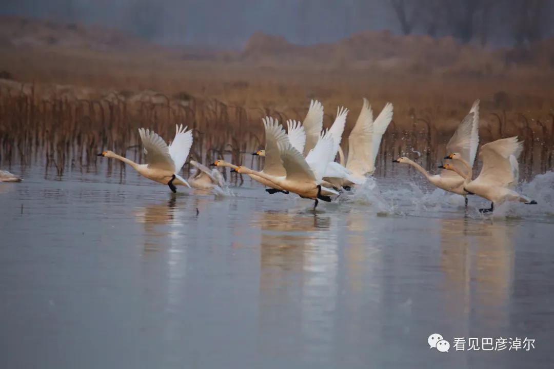 来认识一个不一样的我翻译,来认识不一样的滑雪