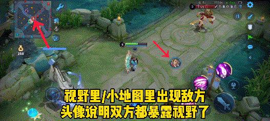 全王者最详细的视野机制教学，学会轻松上王者