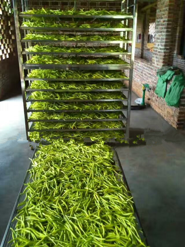 农村简易黄花菜烘干技术,黄花菜烘干的正确方法