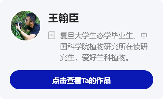 天价交易下历尽劫难的野生兰花,终于有了“护身符”