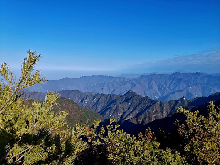 20201101惊悚之行~首阳山大坪梁单日横穿+原返