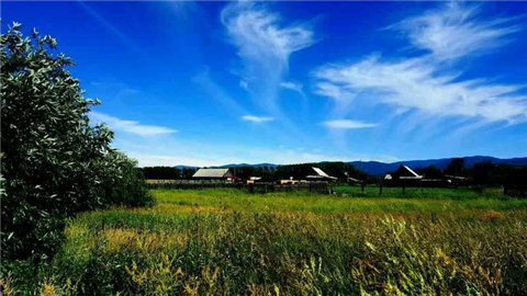 一条惊险刺激的公路,不可思议的一条公路