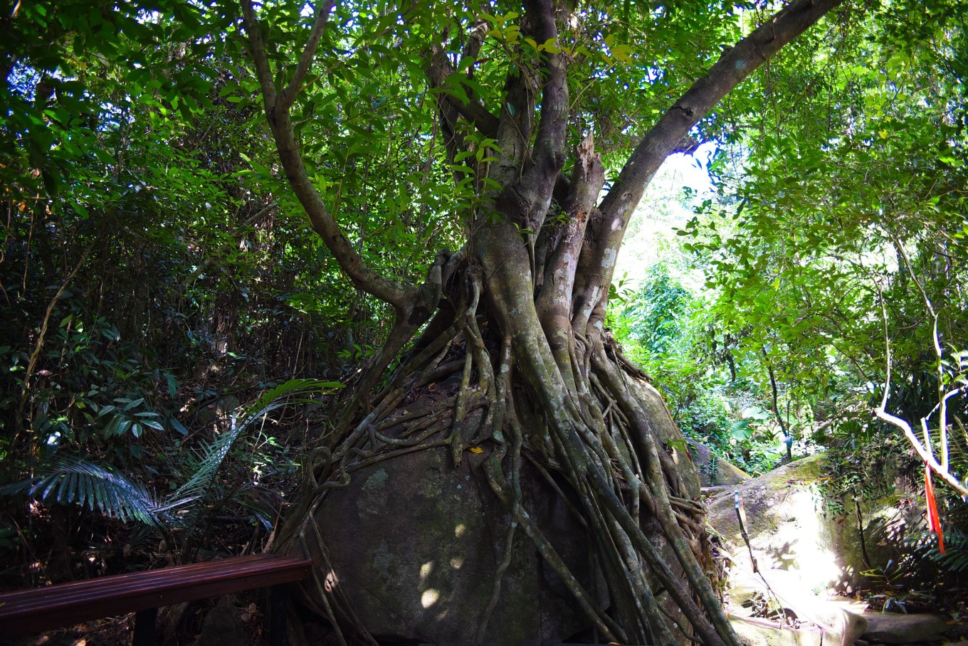 三亚旅游与美食攻略,三亚旅游攻略三亚美食