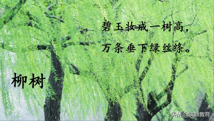 西安华远海蓝城小学教师李艳：《花开时节，花飞起飞花令》实践活动课教学设计