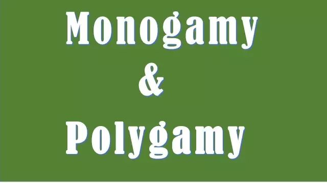 我们未来的婚姻制度真的会消失吗,婚姻制度会不会在未来走向瓦解