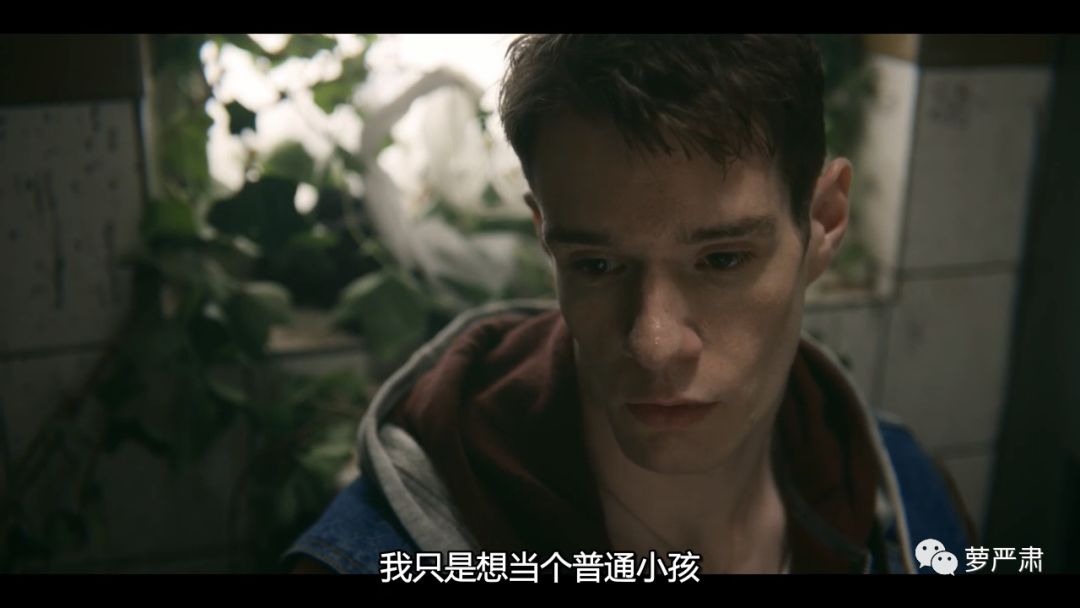 本想补上一堂性教育课，最后我学到了这么多