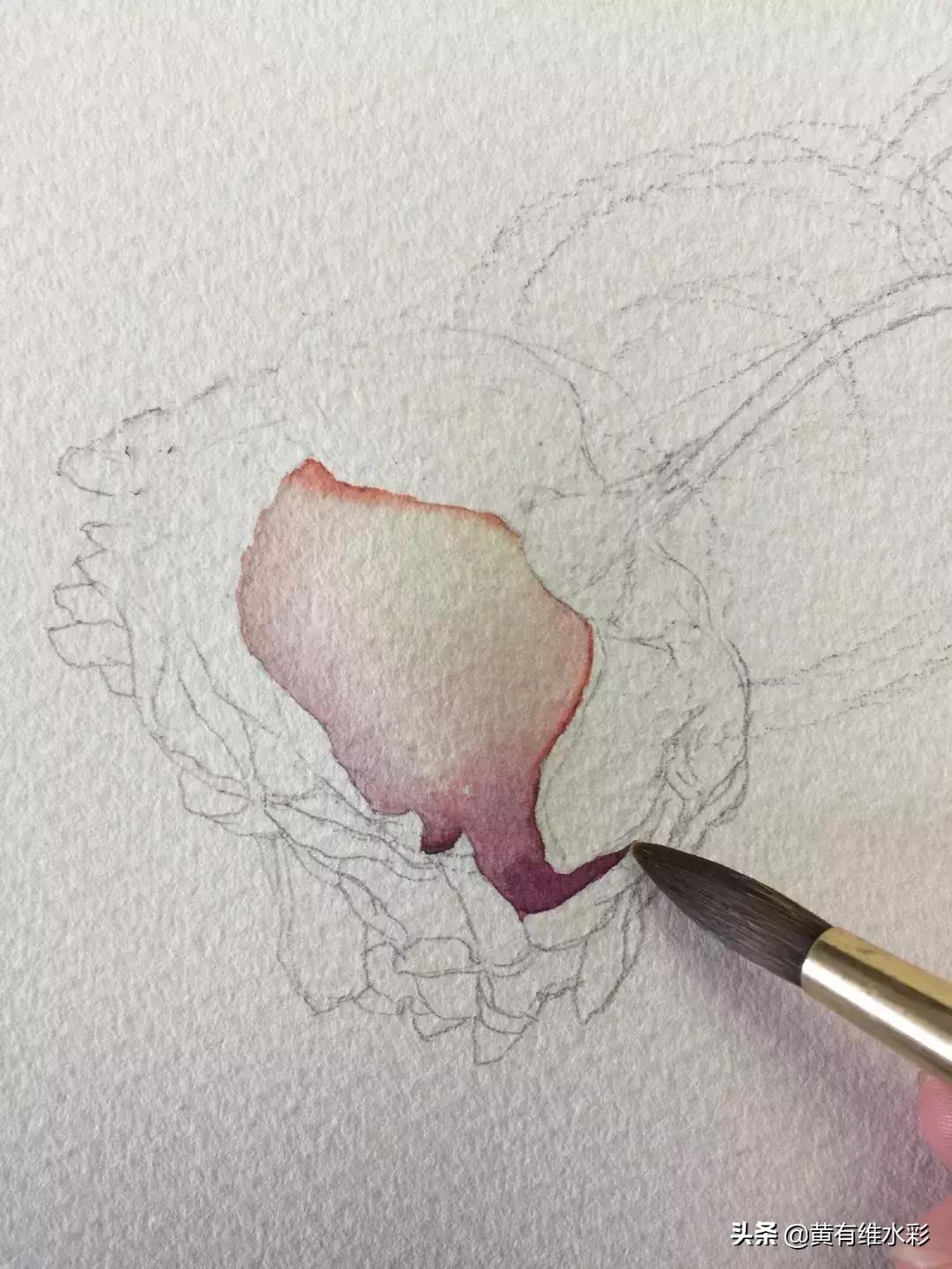 33朵玫瑰制作全过程,英伦花教程