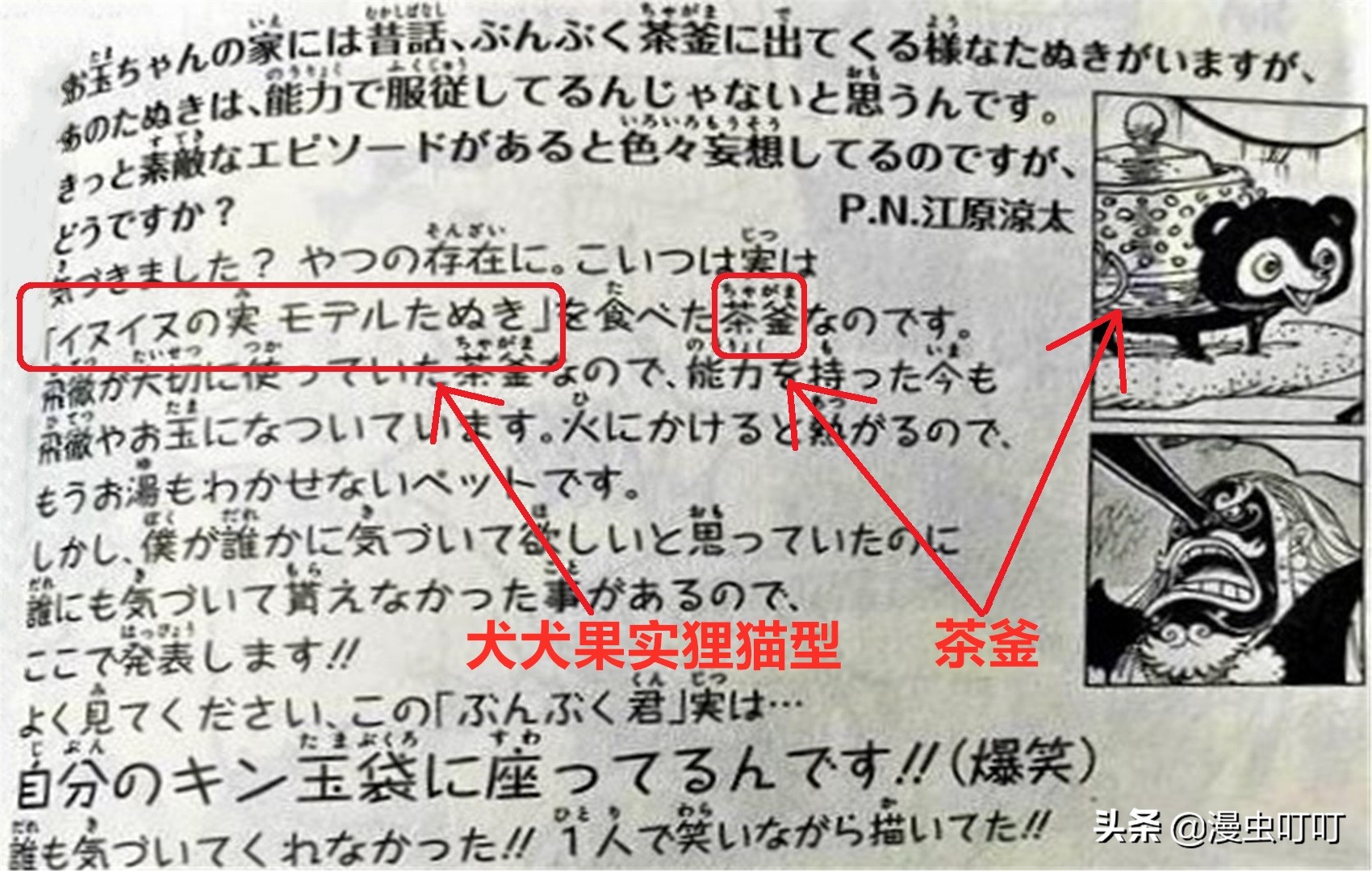 海贼王中的物品,海贼王为什么只能吃一个果实