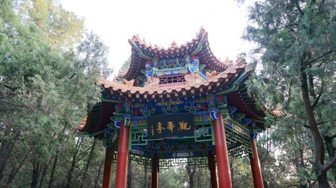 曾经山东最繁华的城市,曾经山东第一大城市