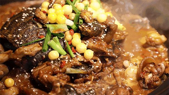 养殖甲鱼的营养价值及功效与禁忌,菜市场养殖的甲鱼有营养价值吗