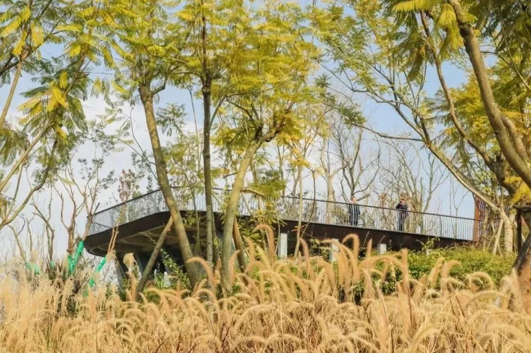 成都最有潜力的花园,成都是个大花园